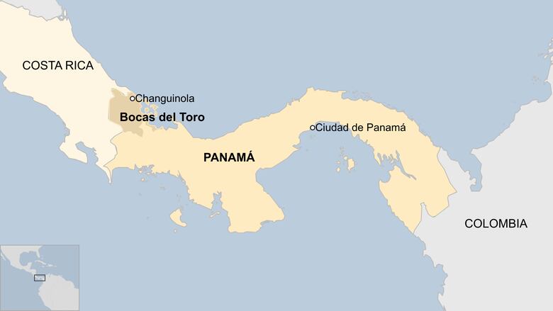 Por qué la bananera Chiquita despidió a 5.000 trabajadores en Panamá con el respaldo del presidente Mulino