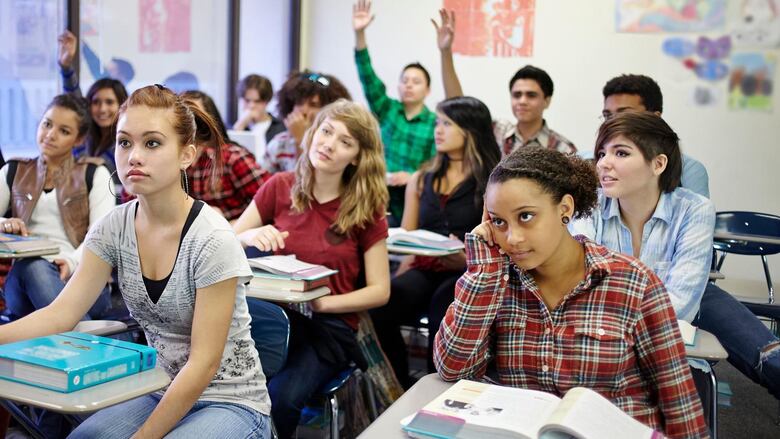 Articulo Ejemplo - Multimedia - sin yt