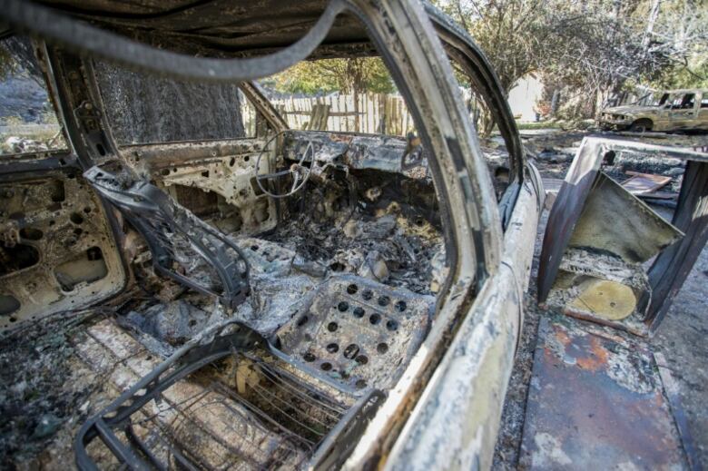 Articulo Ejemplo - Multimedia - sin yt